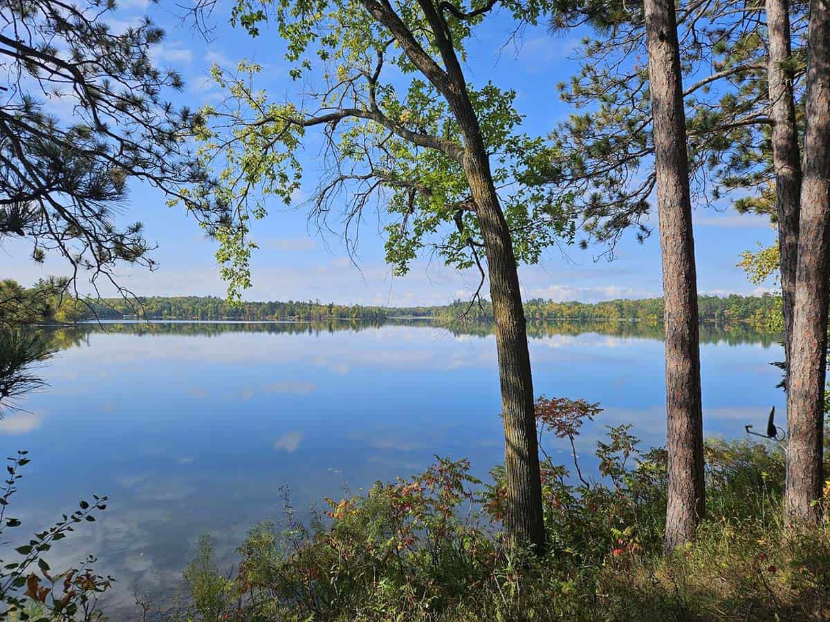 Timberlost Scenes 7 - Timberlost At West Crooked